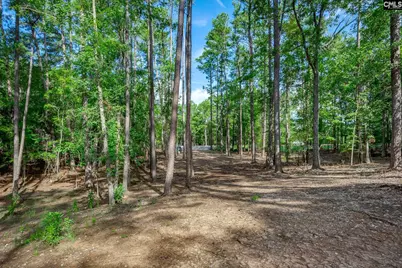 1148 Shull Island Road, Gilbert, SC 29054 - Photo 14