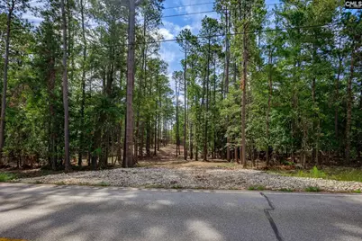 1148 Shull Island Road, Gilbert, SC 29054 - Photo 18