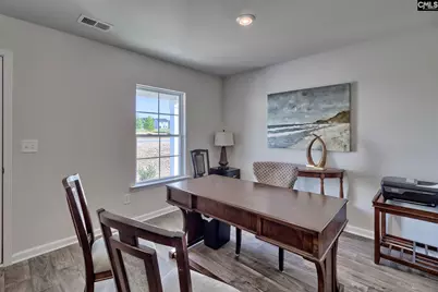 309 Star Capital Way, Pelion, SC 29123 - Photo 20