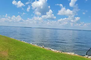 1441 Old Chapin Road 123, Lexington, SC 29072 - Photo 60