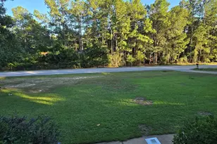 2418 Anderson Ct, Elgin, SC 29045 - Photo 6