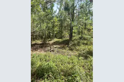 Ppf 6 Payne Pond Road Ppf 6 #PPF 6, Westville, SC 29175 - Photo 12