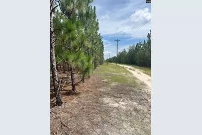 Ppf 8 Payne Pond Road #PPF 8, Westville, SC 29175 - Photo 10