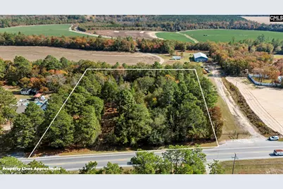 Edmund Highway, Pelion, SC 29123 - Photo 4