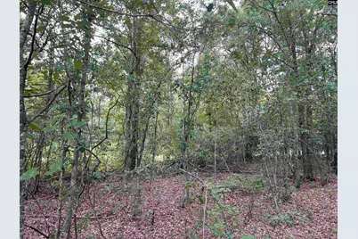 0 Cliff Road #3, Pelion, SC 29123 - Photo 20