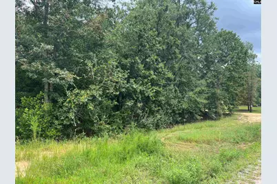 0 Cliff Road #3, Pelion, SC 29123 - Photo 2