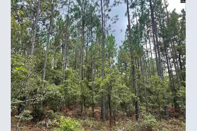 0 Cliff Road #3, Pelion, SC 29123 - Photo 10