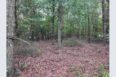 0 Cliff Road #3, Pelion, SC 29123 - Photo 22