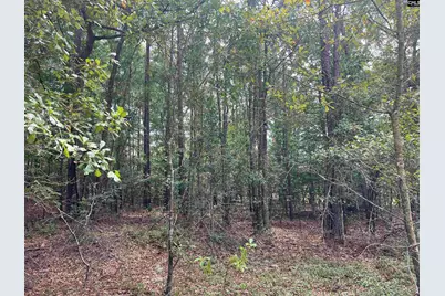 0 Cliff Road #3, Pelion, SC 29123 - Photo 14