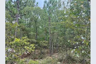 0 Cliff Road #3, Pelion, SC 29123 - Photo 6