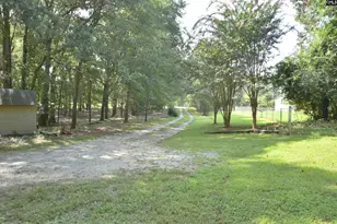 930 Peach Festival Rd, Gilbert, SC 29054 - Photo 6