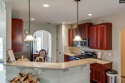 631 Twisted Oak Court, Lexington, SC 29073 - Photo 6