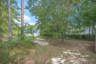 53 Strawberry Field Ln, Elgin, SC 29045 - Photo 34