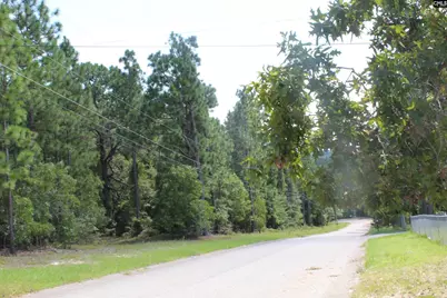 164 Dowd Drive, Gaston, SC 29053 - Photo 10