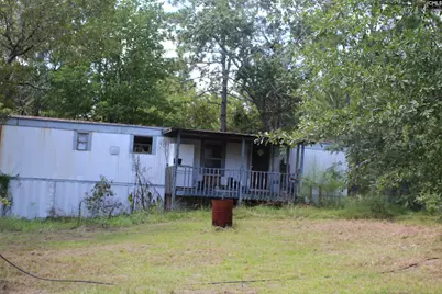 164 Dowd Drive, Gaston, SC 29053 - Photo 4