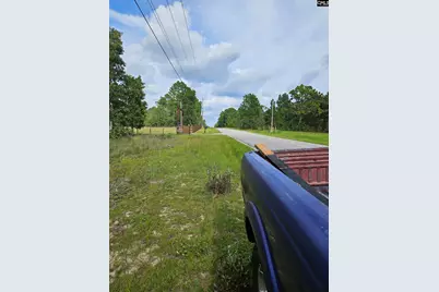 736 Bush Berry Road, Pelion, SC 29123 - Photo 4