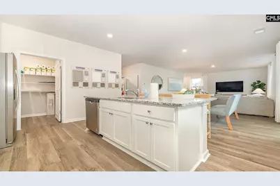 494 Leathertree Lane, Blythewood, SC 29016 - Photo 10