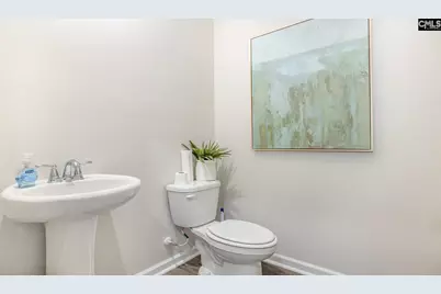 494 Leathertree Lane, Blythewood, SC 29016 - Photo 18