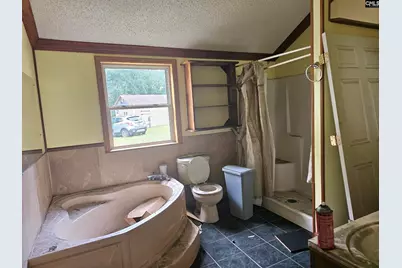 4412 Festival Trail Road, Wagener, SC 29164 - Photo 8