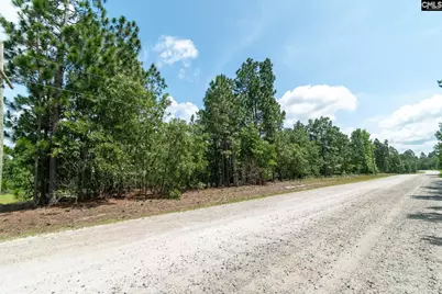 Lot 18 Hound Hollow Road #18, Camden, SC 29020 - Photo 6