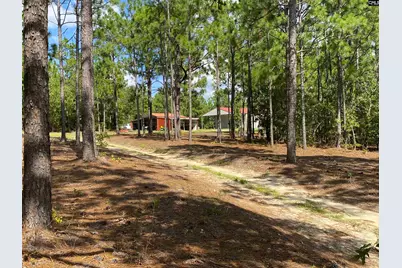 139 Cross Road, Lexington, SC 29073 - Photo 38