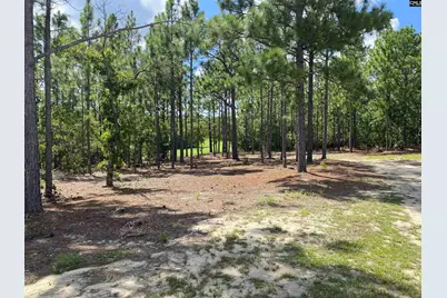 139 Cross Road, Lexington, SC 29073 - Photo 36