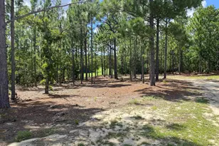 139 Cross Rd, Lexington, SC 29073 - Photo 36