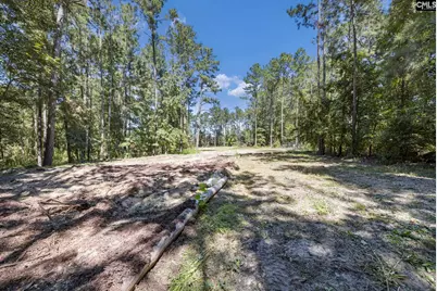 5047 Percival Road, Elgin, SC 29045 - Photo 4