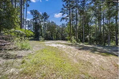 5047 Percival Road, Elgin, SC 29045 - Photo 6