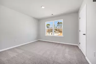 146 Ruby Prince Rd, Gilbert, SC 29054 - Photo 28