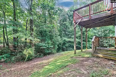715 Soldier Gray Lane, Chapin, SC 29036 - Photo 44