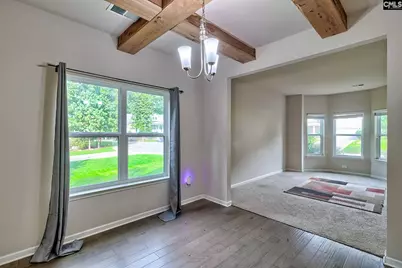 715 Soldier Gray Lane, Chapin, SC 29036 - Photo 8