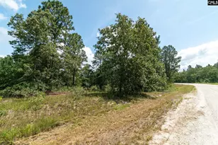 236 Hound Hollow Dr, Camden, SC 29020 - Photo 1