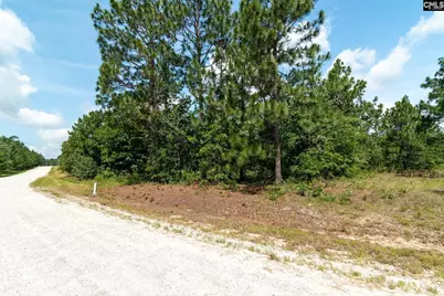 216 Hound Hollow Drive, Camden, SC 29020 - Photo 2