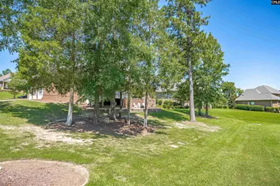 149 Lakeport Drive, Chapin, SC 29036 - Photo 52