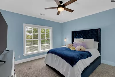 149 Lakeport Drive, Chapin, SC 29036 - Photo 38