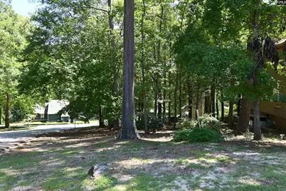 110 Bilton Road, Columbia, SC 29212 - Photo 4