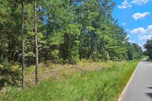 0 Sharpes Hill Rd, Gaston, SC 29053 - Photo 1