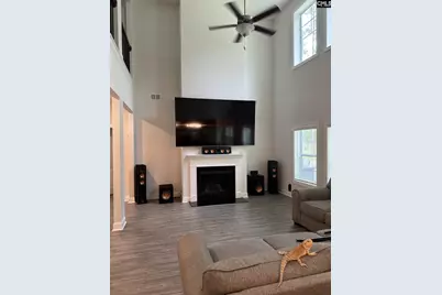 524 Triumph Road, Chapin, SC 29036 - Photo 12