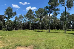 7527 Old Number Six Hwy, Santee, SC 29142 - Photo 4