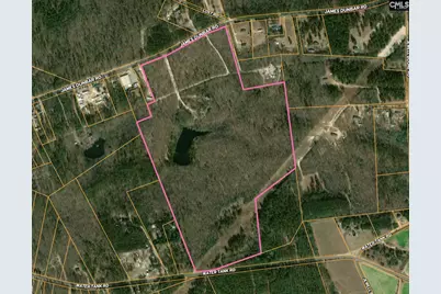 841 James Dunbar Road, Pelion, SC 29123 - Photo 1