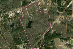 841 James Dunbar Rd, Pelion, SC 29123 - Photo 1