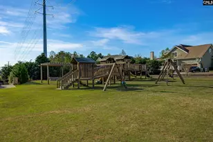 224 Waterstone Dr, Lexington, SC 29072 - Photo 66