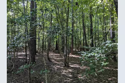 0 Taylor Road, Batesburg, SC 29006 - Photo 12