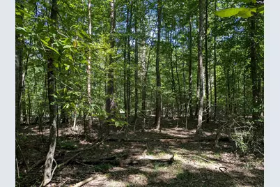 0 Taylor Road, Batesburg, SC 29006 - Photo 4