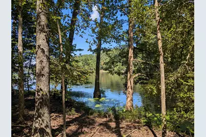 0 Taylor Road, Batesburg, SC 29006 - Photo 6