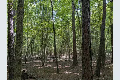 0 Taylor Road, Batesburg, SC 29006 - Photo 14