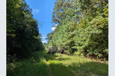 0 Taylor Road, Batesburg, SC 29006 - Photo 20