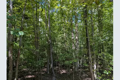 0 Taylor Road, Batesburg, SC 29006 - Photo 18
