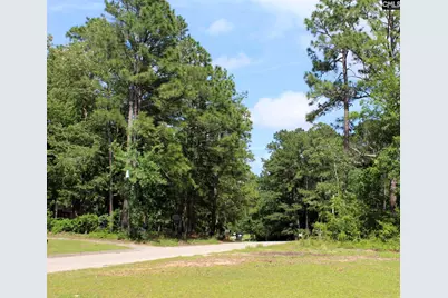 219 Woodland Drive, Swansea, SC 29160 - Photo 2